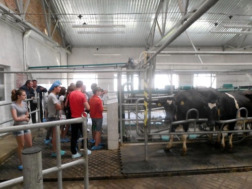 Знайомство з доїльним залом молочно-тваринницької ферми ТОВ «Дзензелівське»